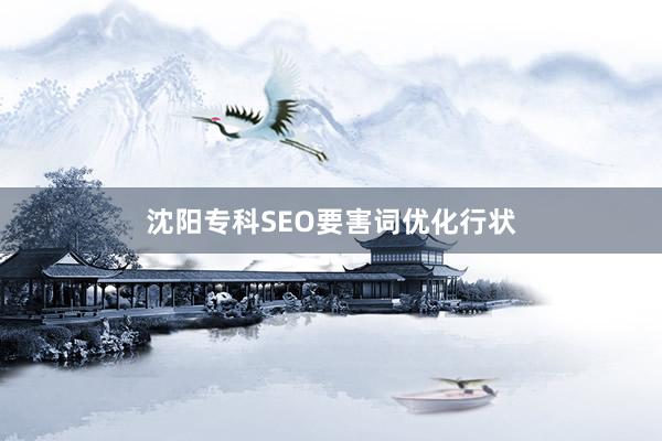 沈阳专科SEO要害词优化行状